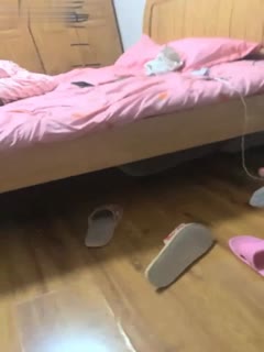 在线观看欧美激情-神马电影老版国语字幕